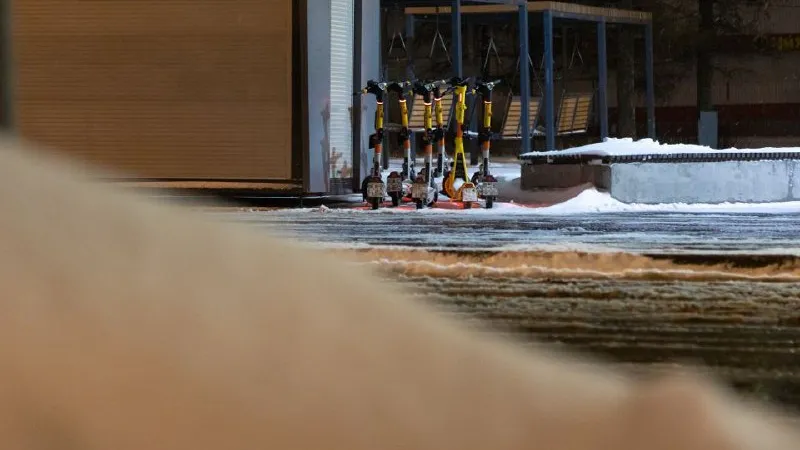 Фото: REGIONS/Владимир Ерастов