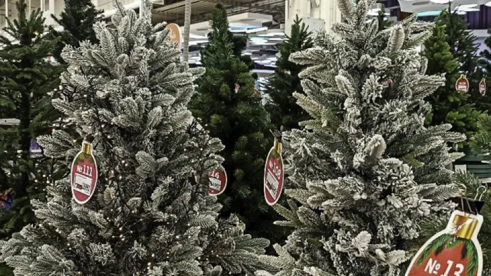 Фото: REGIONS/Эльвира Сафина