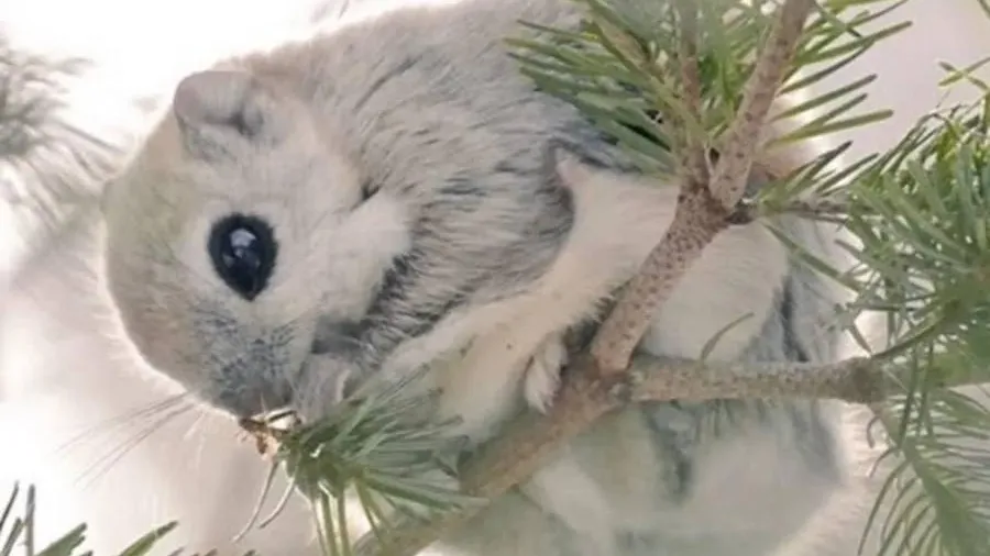 пресс-служба администрации Волоколамского округа