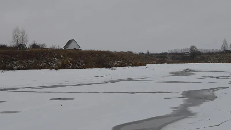 Фото: Минэкологии МО