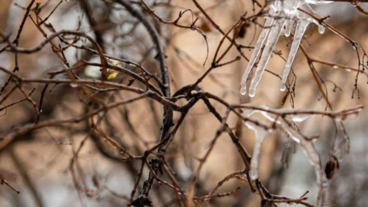 медиасток.рф