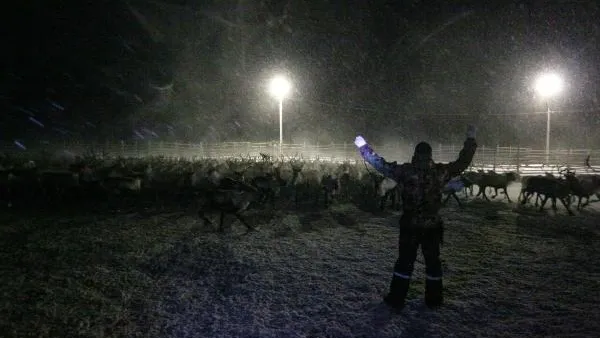 В тундре появился специальный маяк, который поможет оленеводам и охотникам