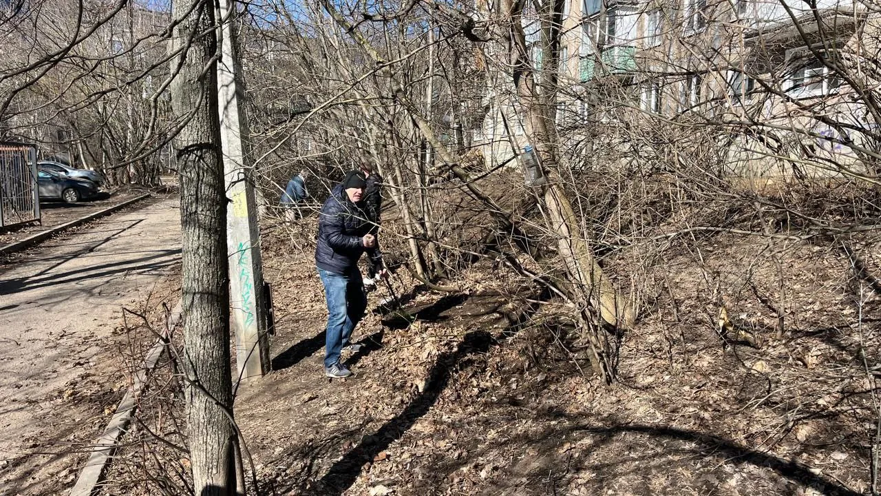 Фото: Общественная палата г.о. Жуковский