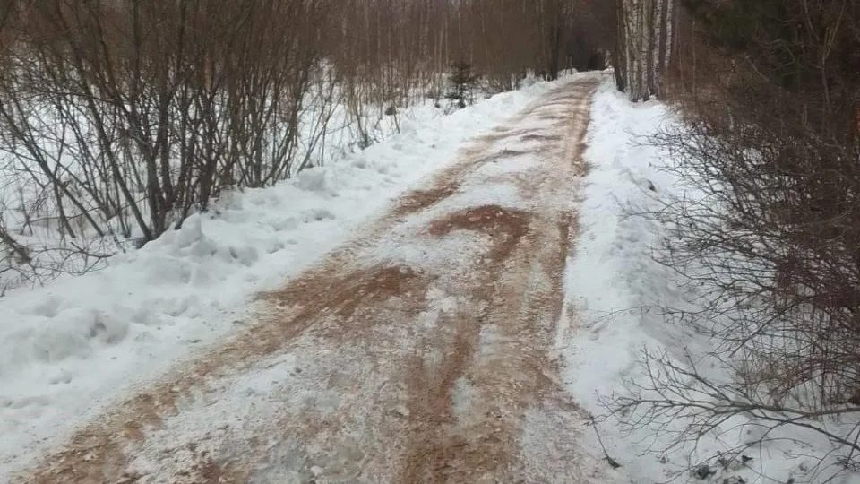 Фото: МКУ «Центр благоустройства Костинское»