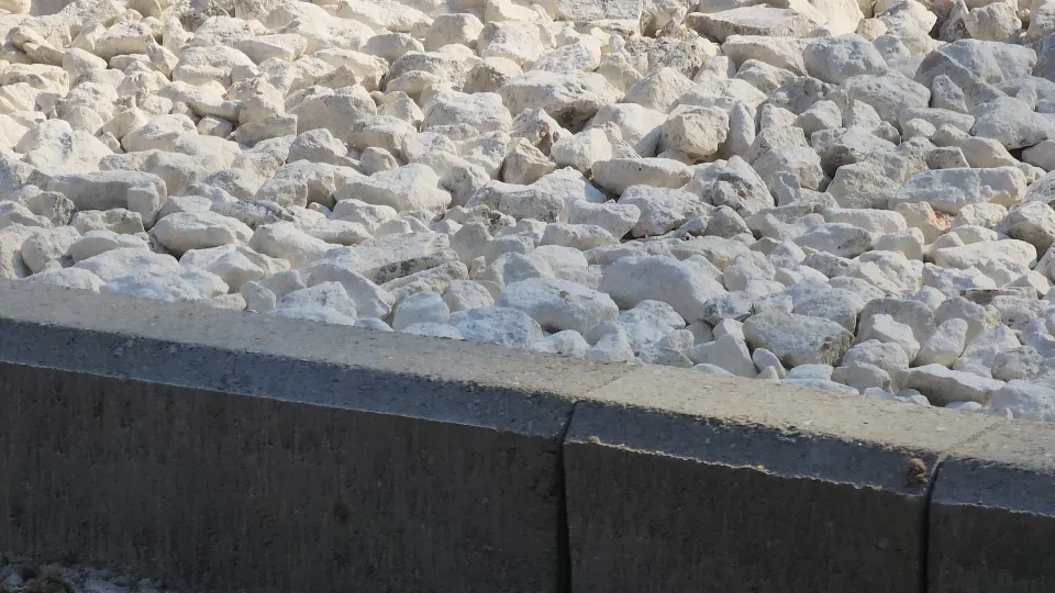 Фото: МедиаБанк Подмосковья/Юлия Андросова