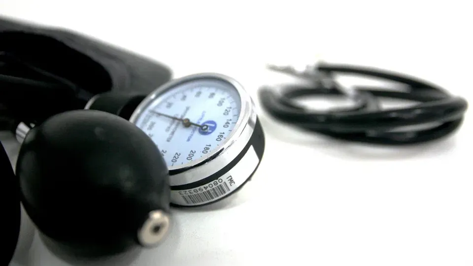 Фото: пресс-служба администрации г. о. Кашира