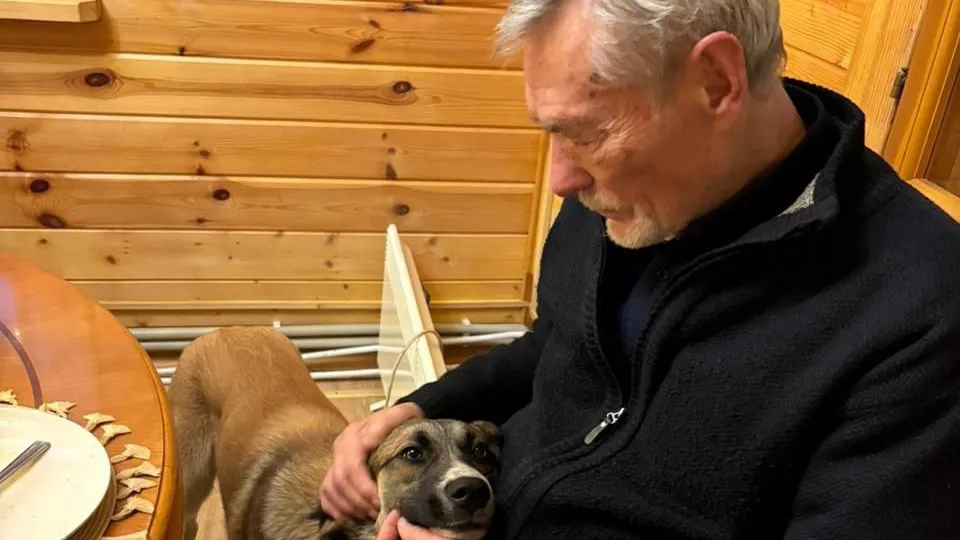 Фото: «Мохнатая лапка. Территория добра»