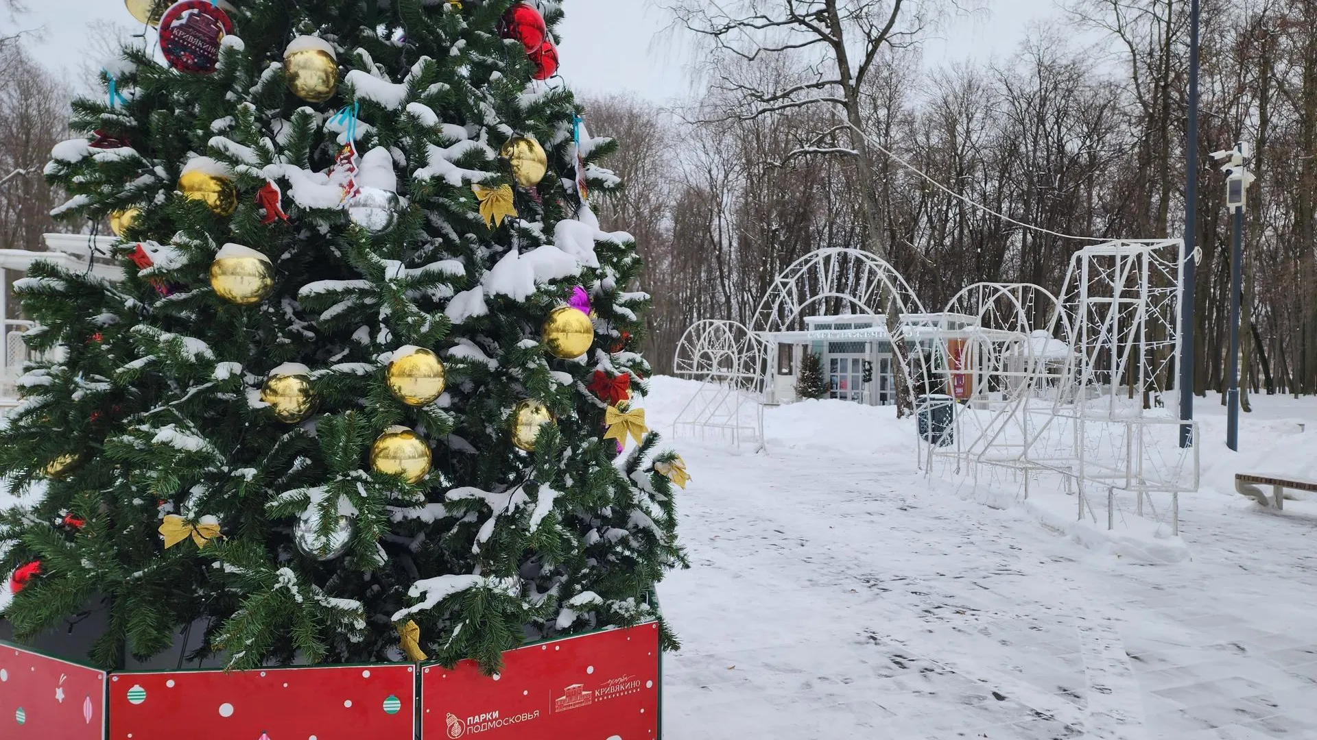 Фото: Светлана Плотникова