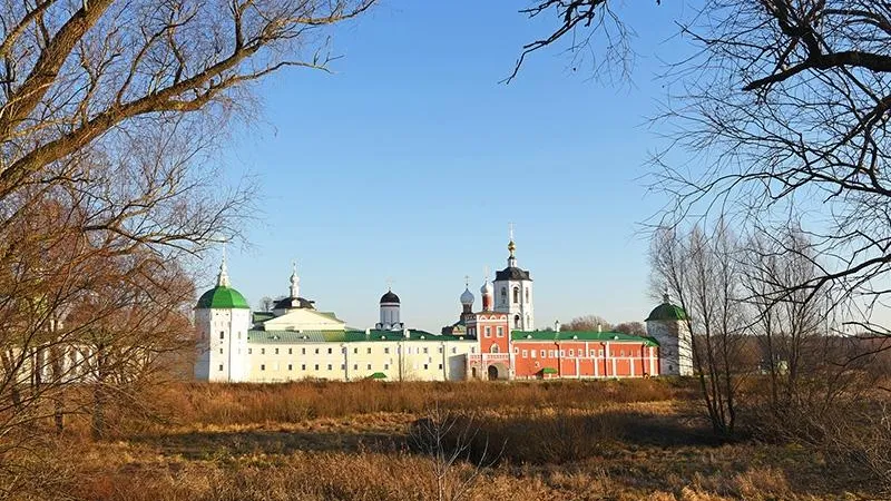Филипп Терец / Подмосковье Сегодня