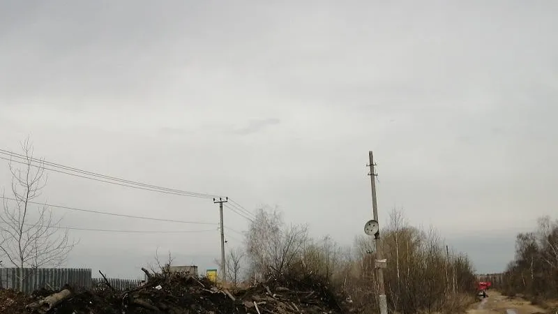 Фото: пресс-служба Минэкологии МО