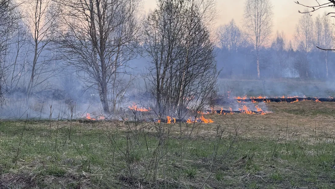 Фото: Татьяна Рунова