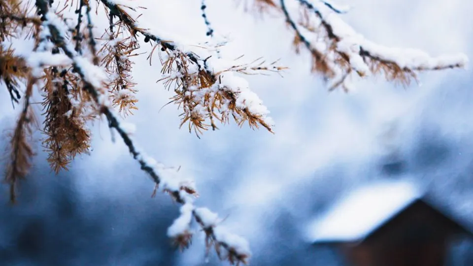 Фото: t.me/mosoblpark