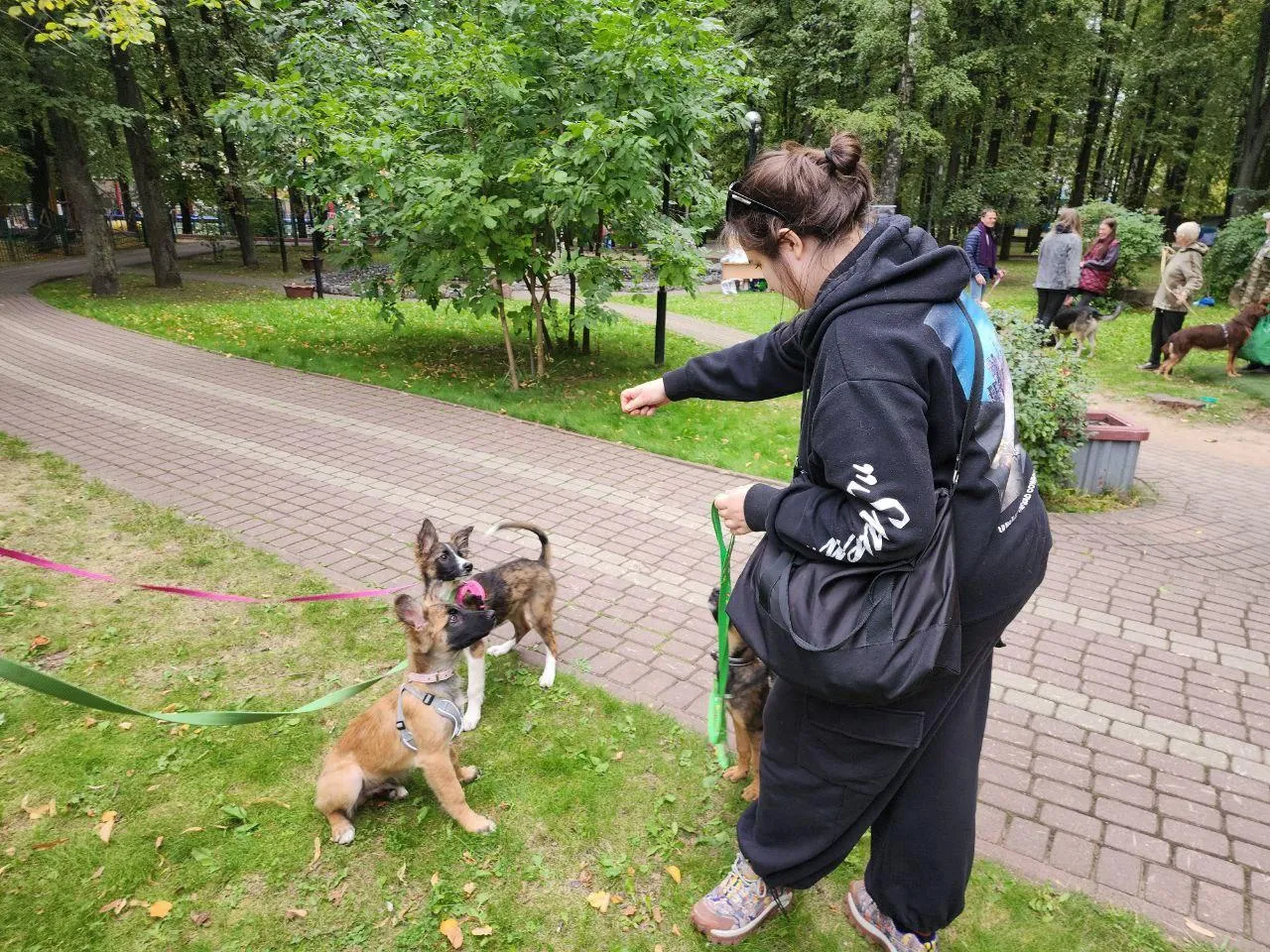 Фото: Мария Амелина