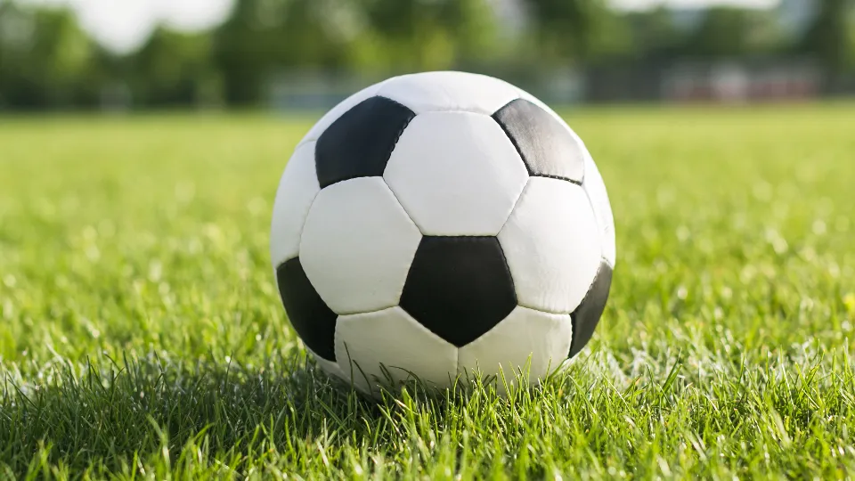 Фото: freepik.com