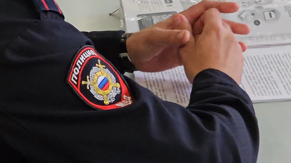 Фото: МедиаБанк Подмосковья/Ольга Вельшикаева