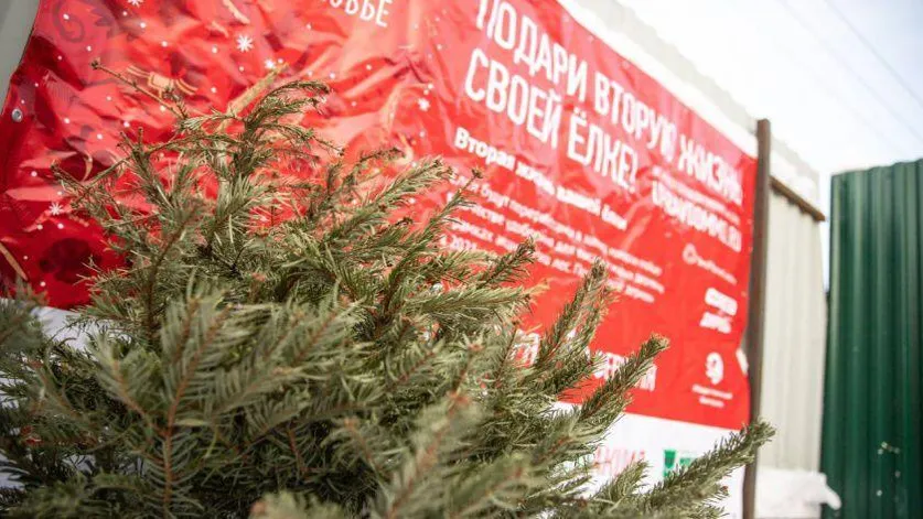 Фото пресс-службы администрации Красногорска