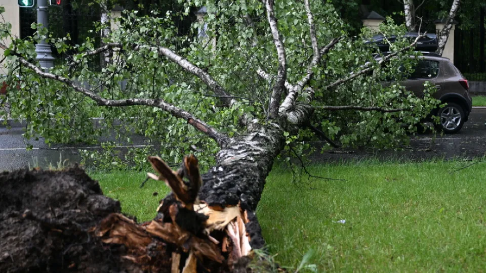 Фото: РИА Новости/Павел Бедняков