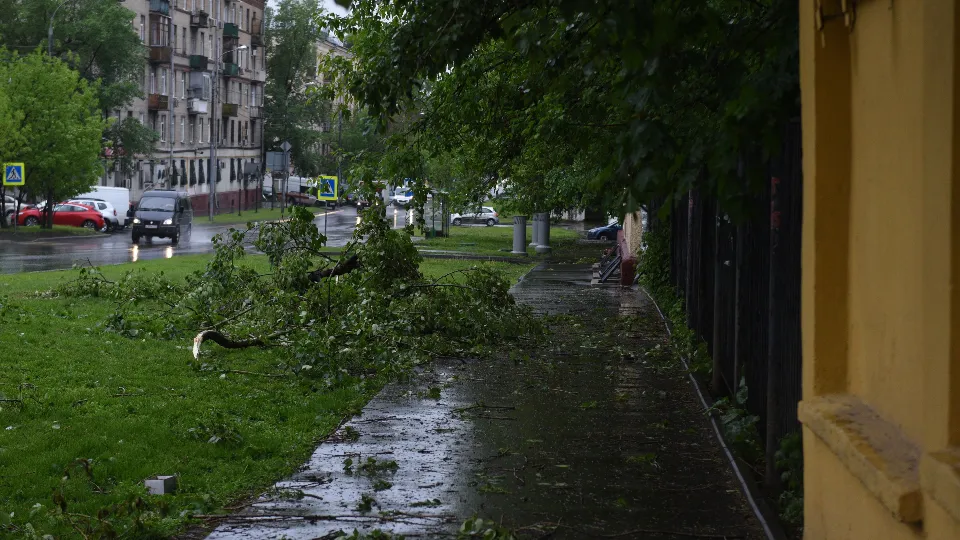 Фото: медиасток.рф