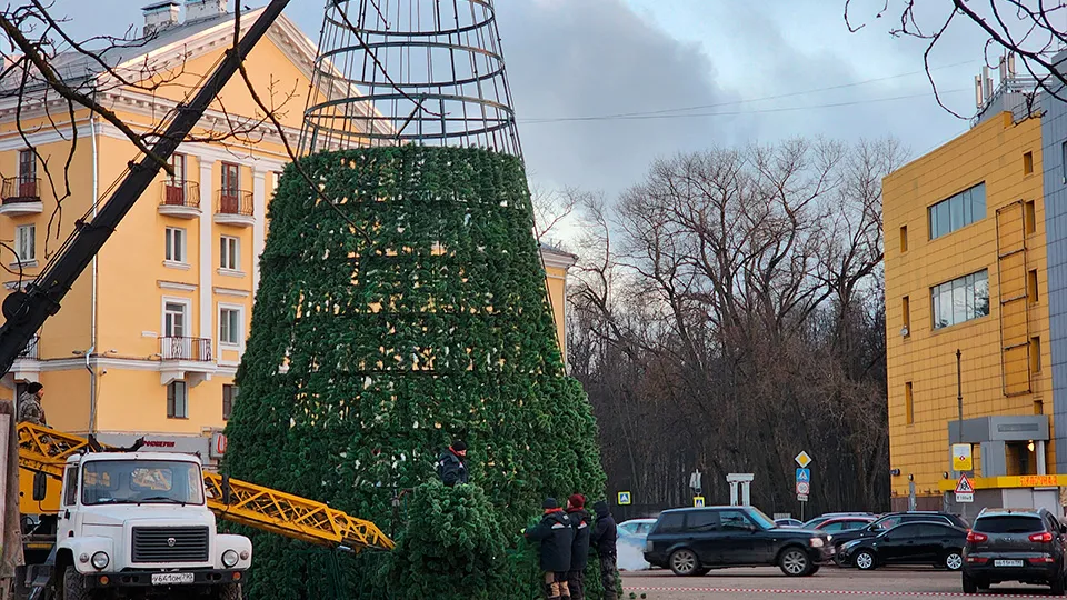 Фото: Светлана Плотникова