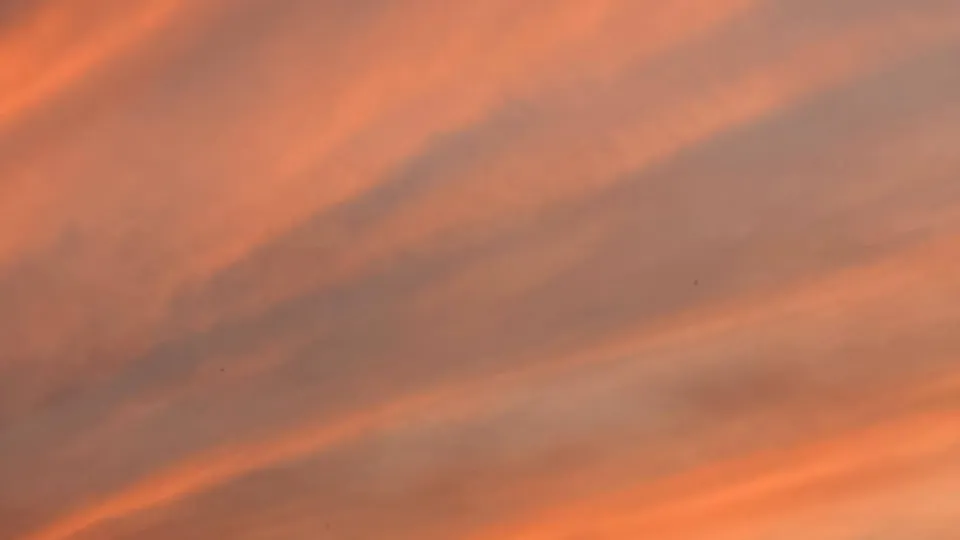 Фото: REGIONS/Дарья Кудинова