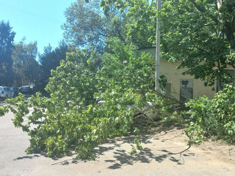 Фото: REGIONS/Олег Книжник