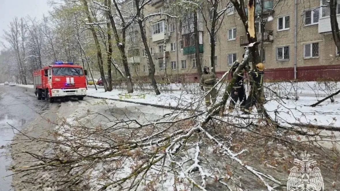 МЧС России по Московской области