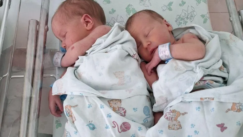 Министерство социального развития Московской области