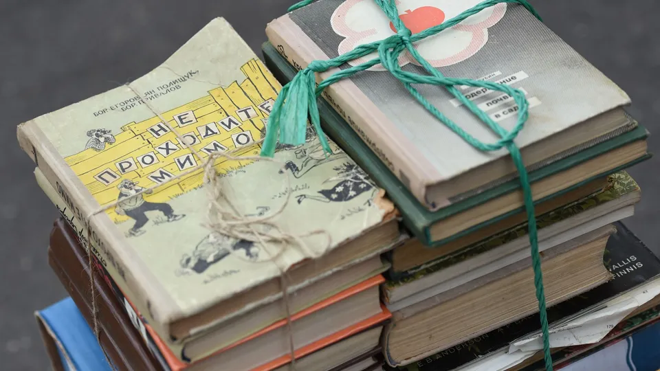 Фото: медиасток.рф