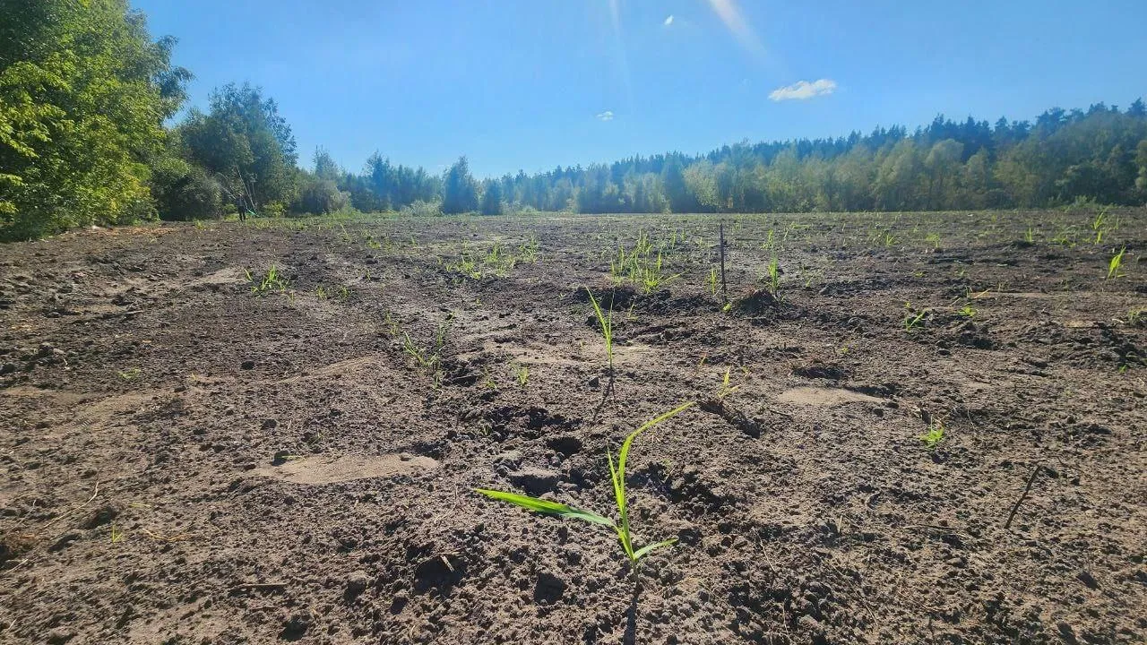 Фото: Шатурский МЦУР