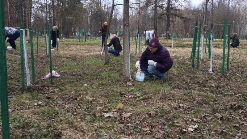 Месячник благоустройства начался в Подмосковье