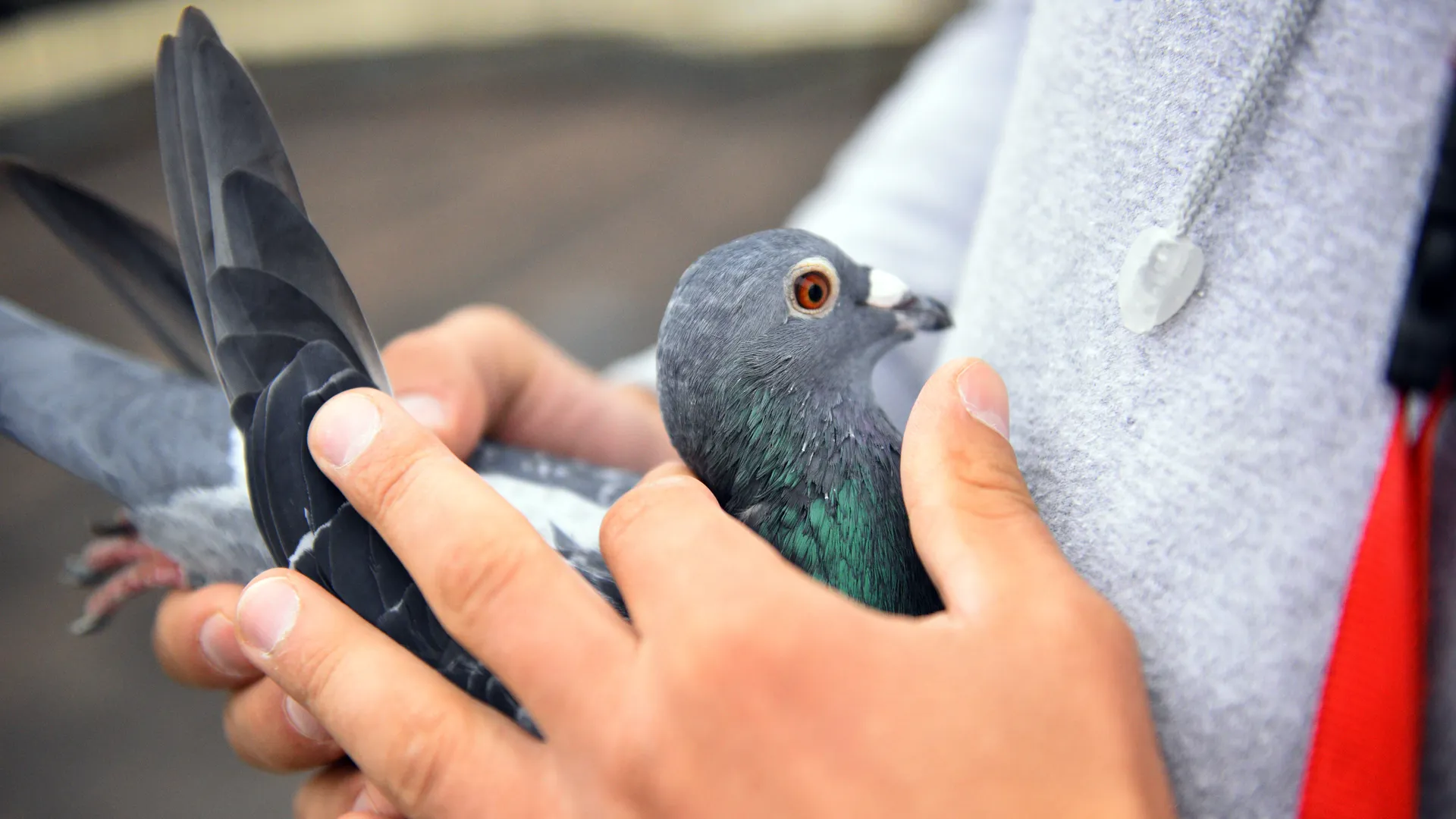 медиасток.рф