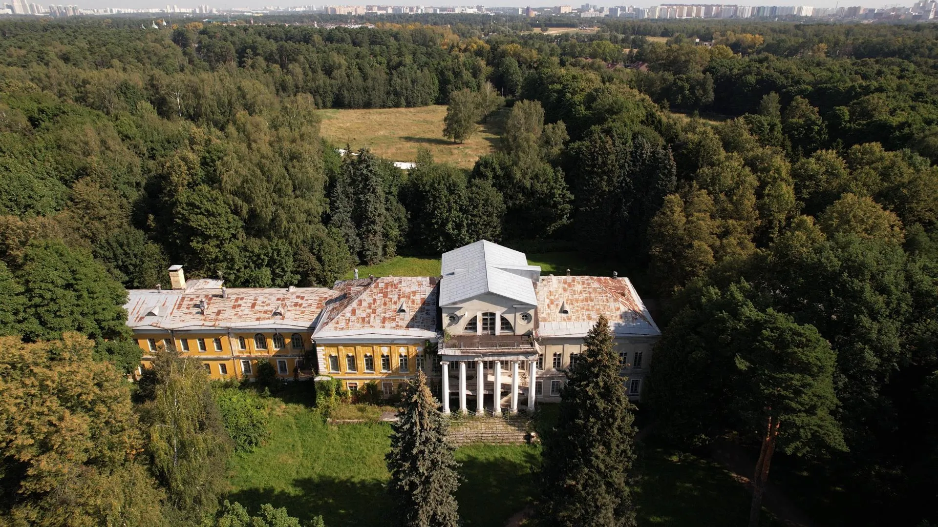 Дарья Московцева