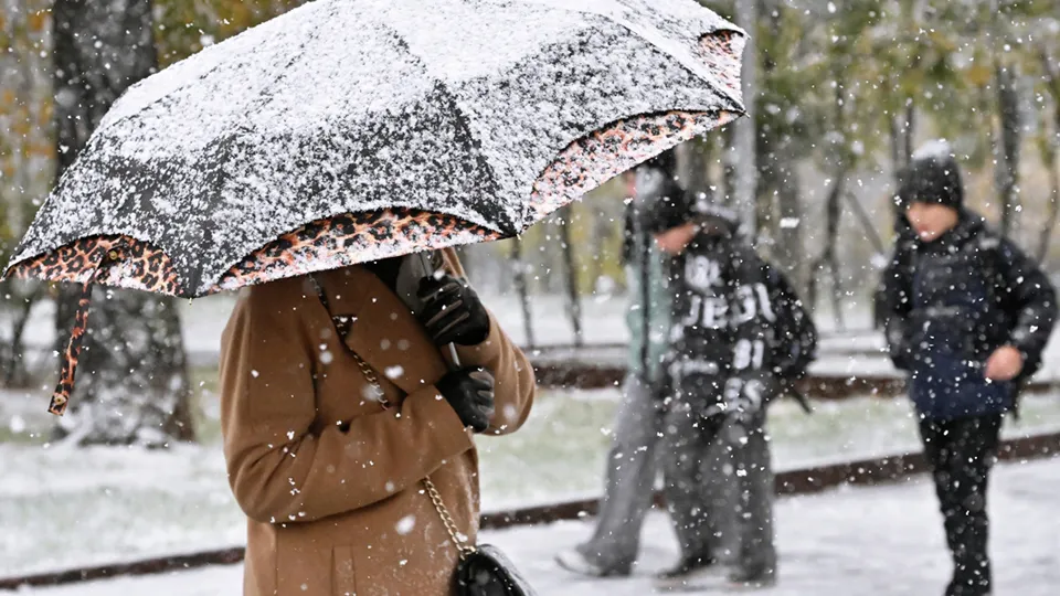 Фото: РИА Новости/Владимир Федоренко