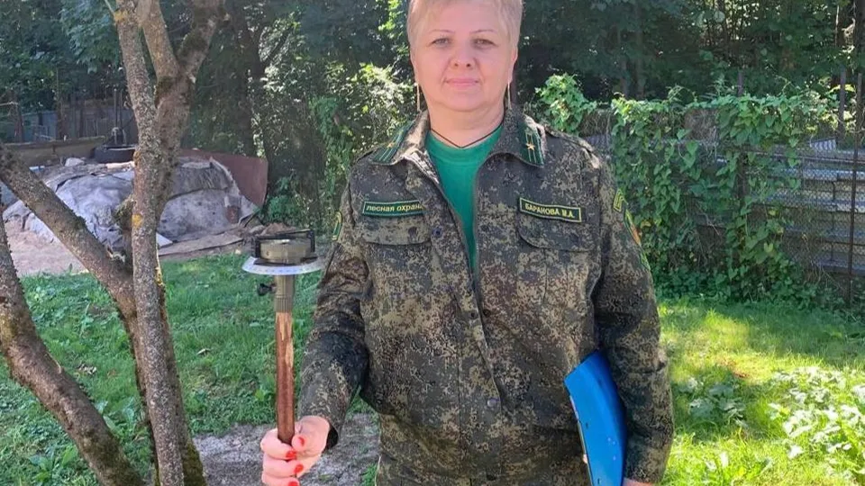 Фото: Комитет лесного хозяйства Московской области