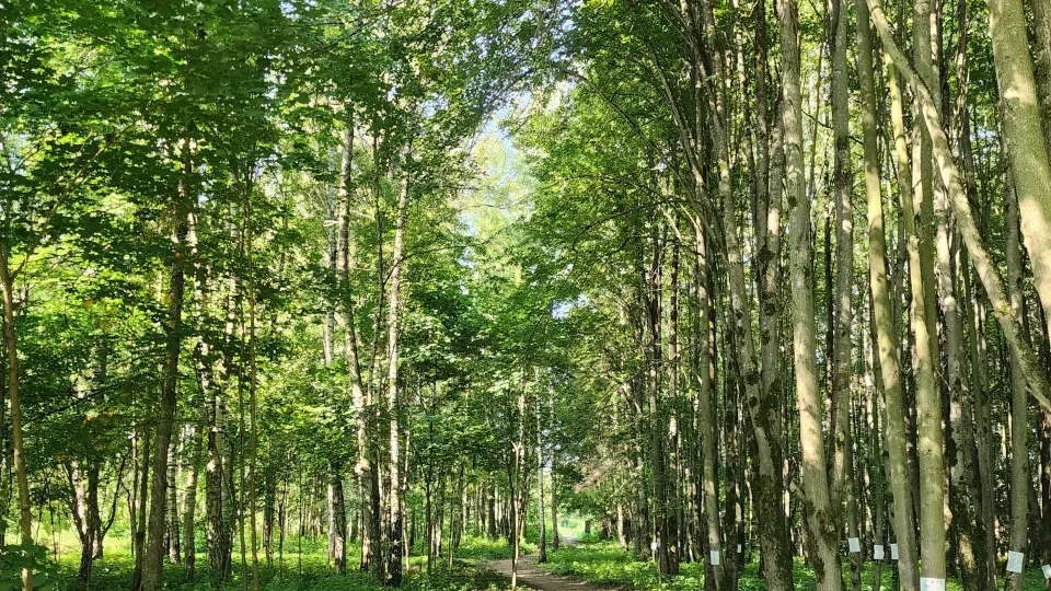 Фото: Хавива Фонина