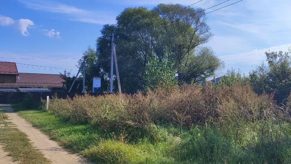 Фото: комитет по конкурентной политике Московской области