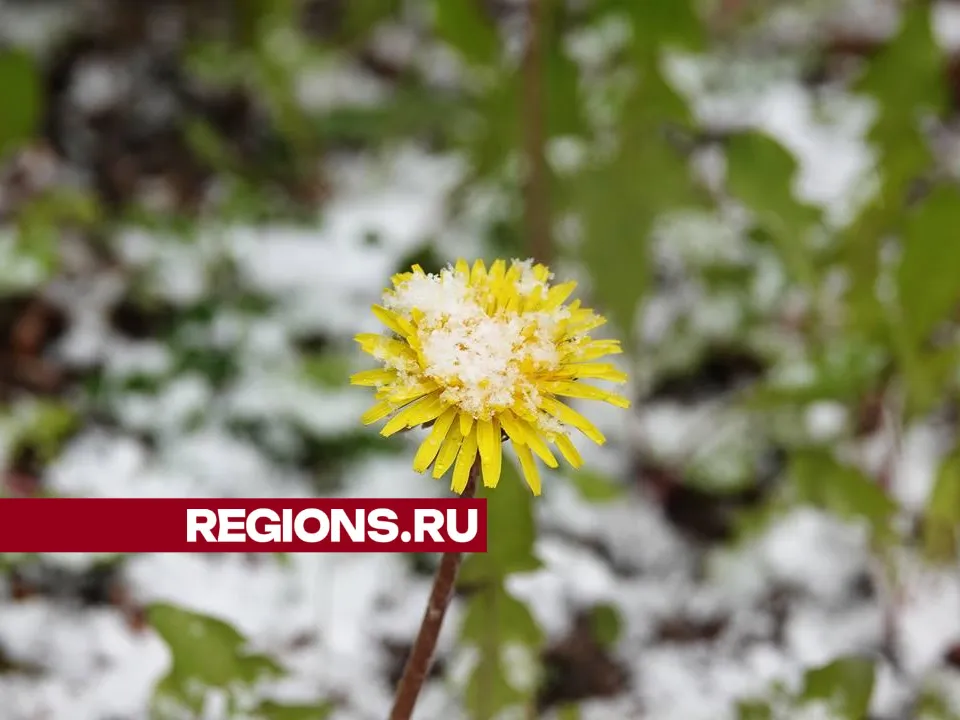 Фото: Дарья Леонова