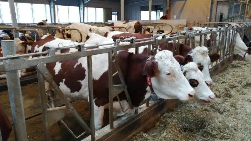 Министерство сельского хозяйства и продовольствия МО