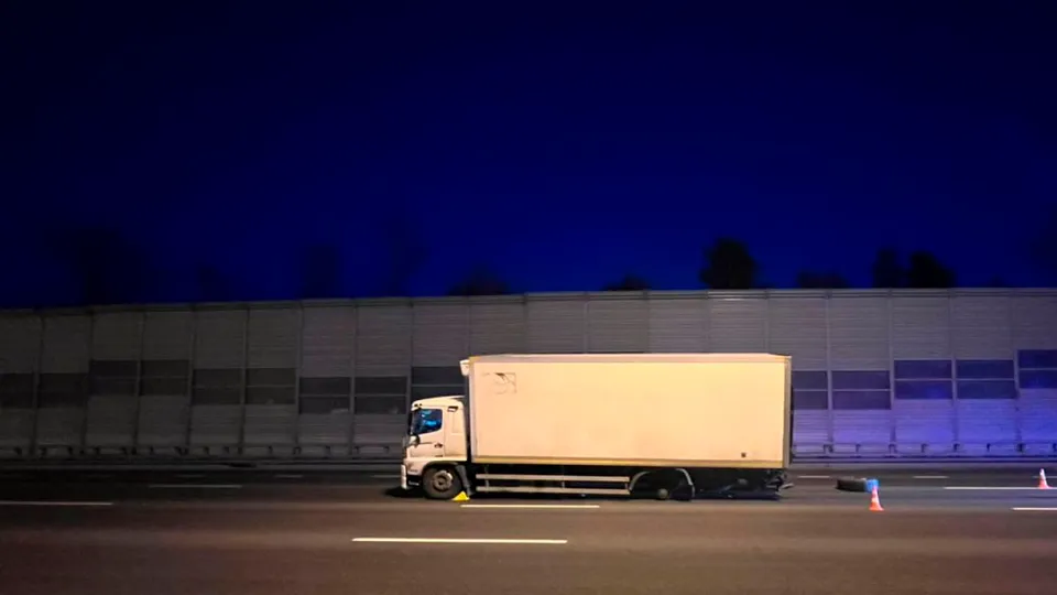 Фото: t.me/gumvd50