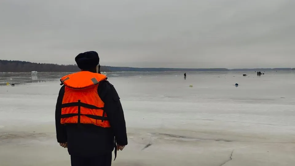 Фото: ГКУ МО «Мособлпожспас»