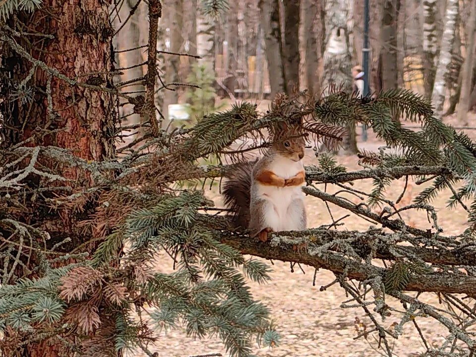 Фото: REGIONS/Елена Катасонова