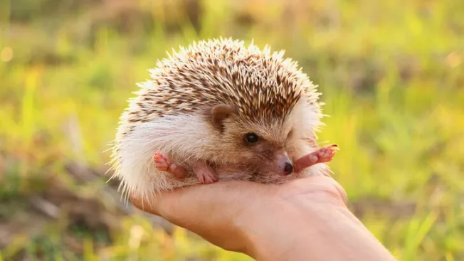 Фото: ru.freepik.com