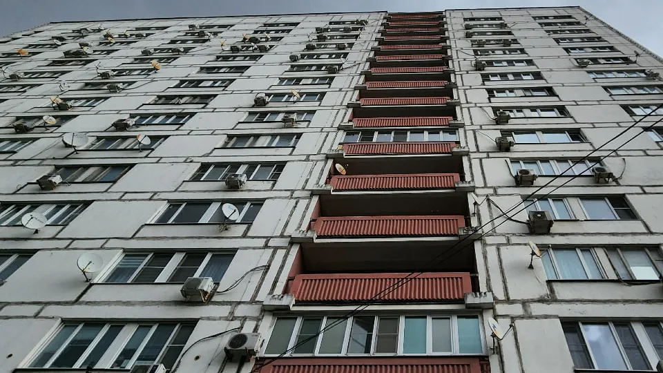 Фото: Медиабанк Подмосковья/Максим Сафронов