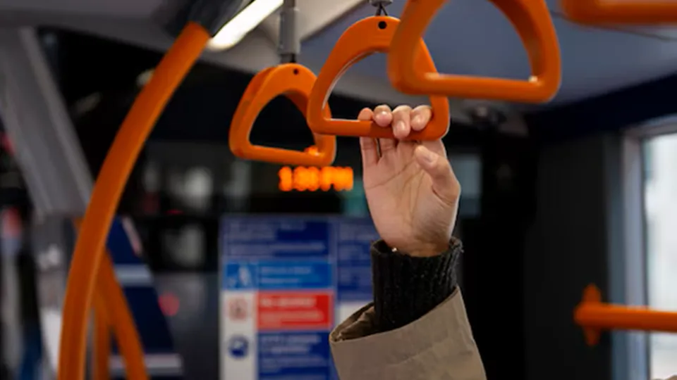 Фото: freepik.com