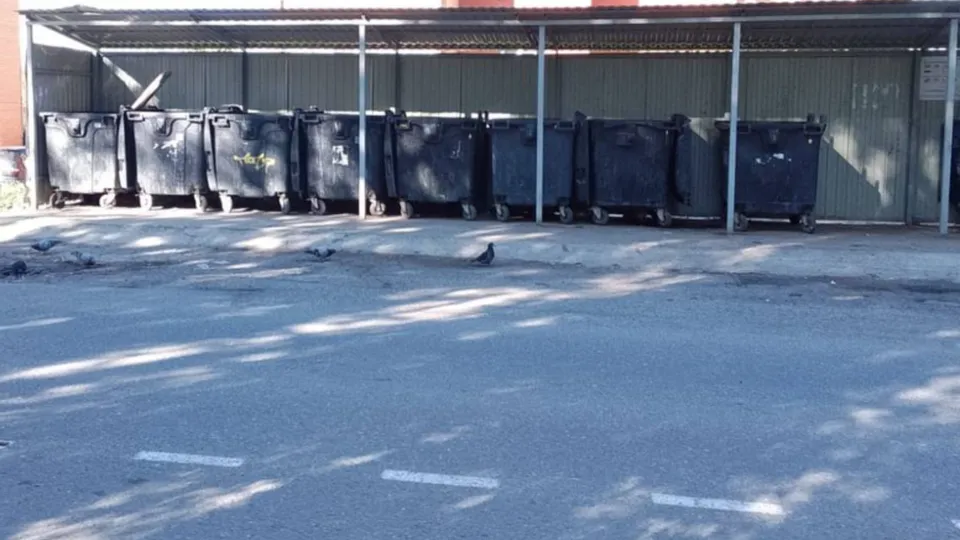 Фото: пресс-служба городского округа Кашира