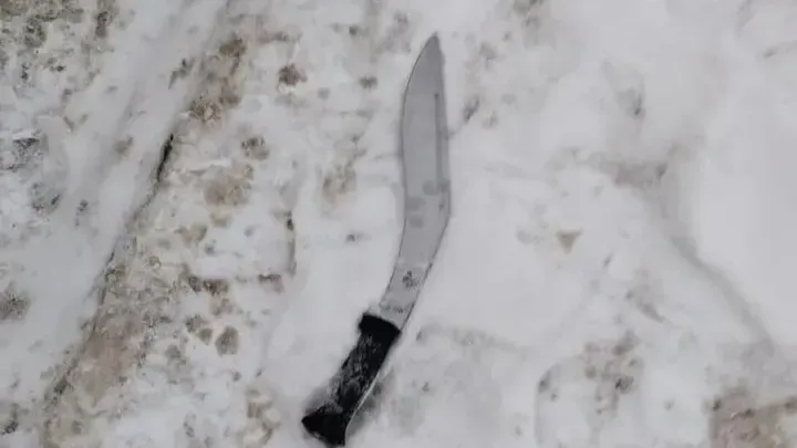 Фото: пресс-служба Главного управления Росгвардии по МО