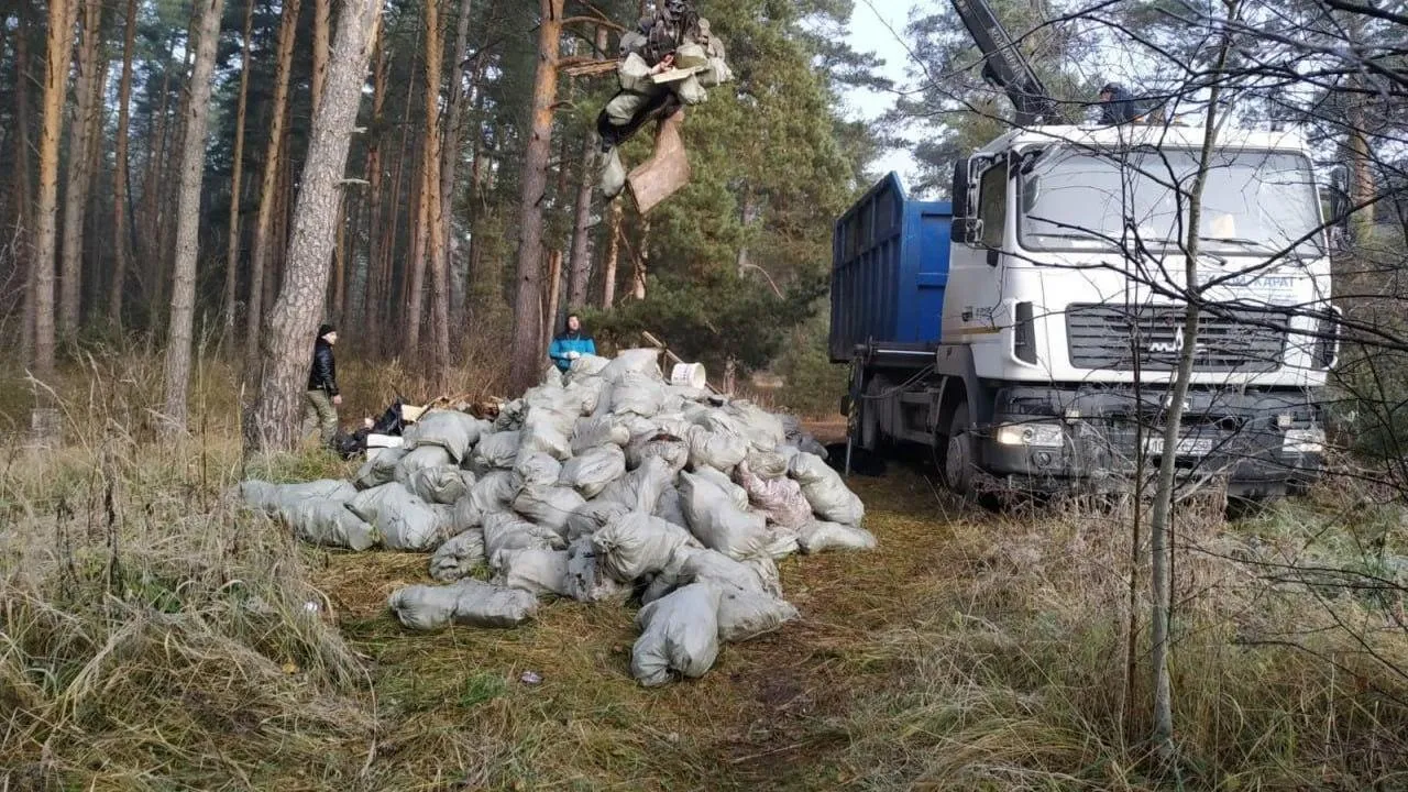 В Подмосковье городским округам выделили почти 250 млн руб. на расчистку лесов от мусора