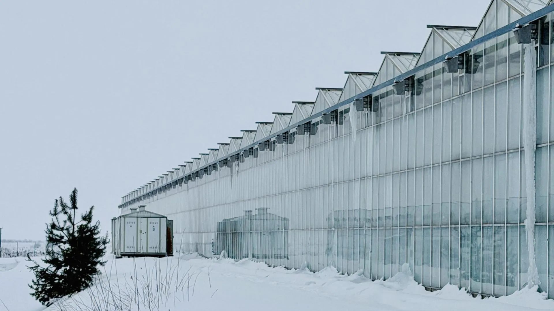 МедиаБанк Подмосковья/Ольга Стаферова