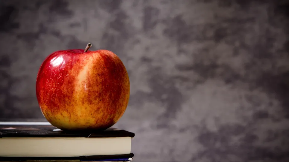 Фото: pxhere.com