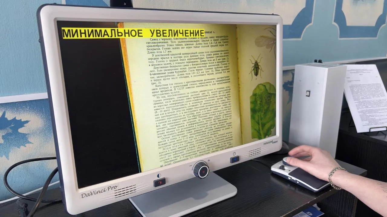 МедиаБанк Подмосковья/Анна Нестерова